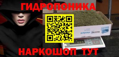 ECSTASY Малгобек