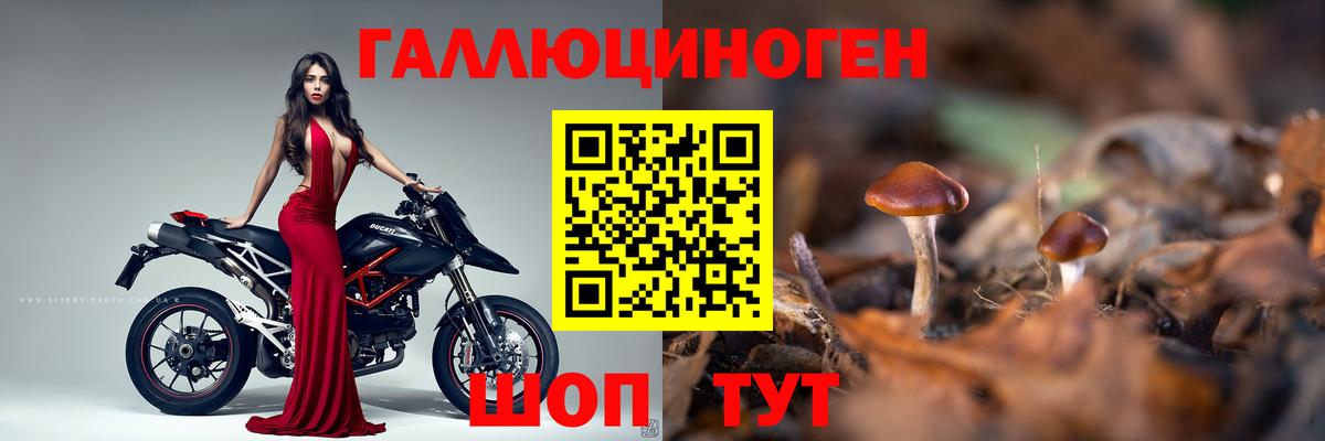 Псилоцибиновые грибы прущие грибы  Галлюциногенные грибы мухоморы  Вход с VPN  Уссурийск 